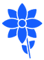 Eyebright Solutions Logo